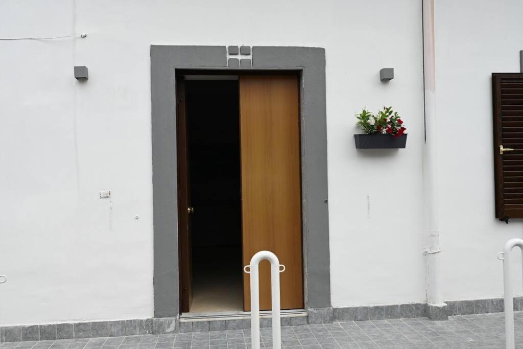 Apartment White Oplonti House